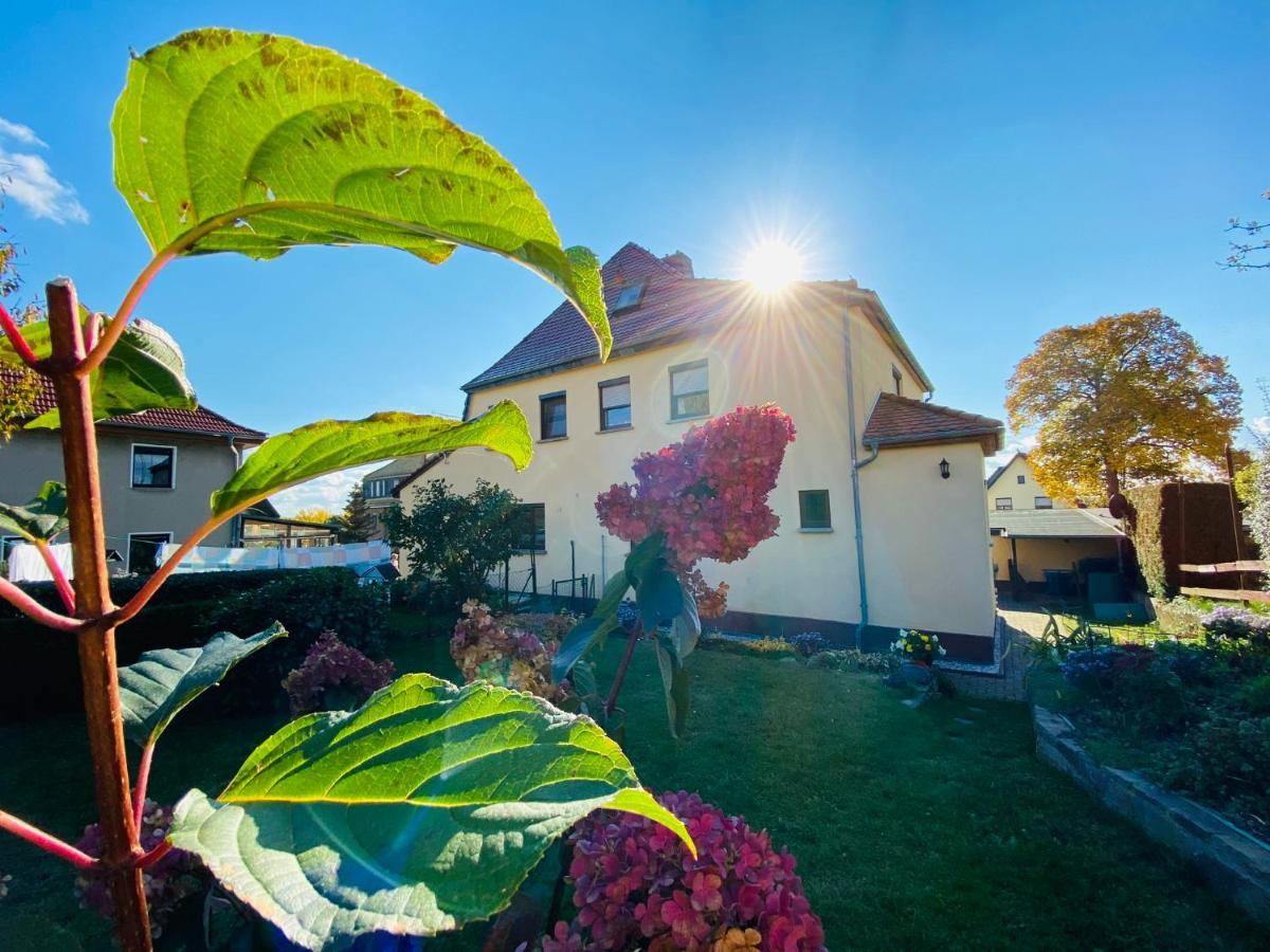 Ferienhaus Am Hainberg Colditz Eksteriør billede